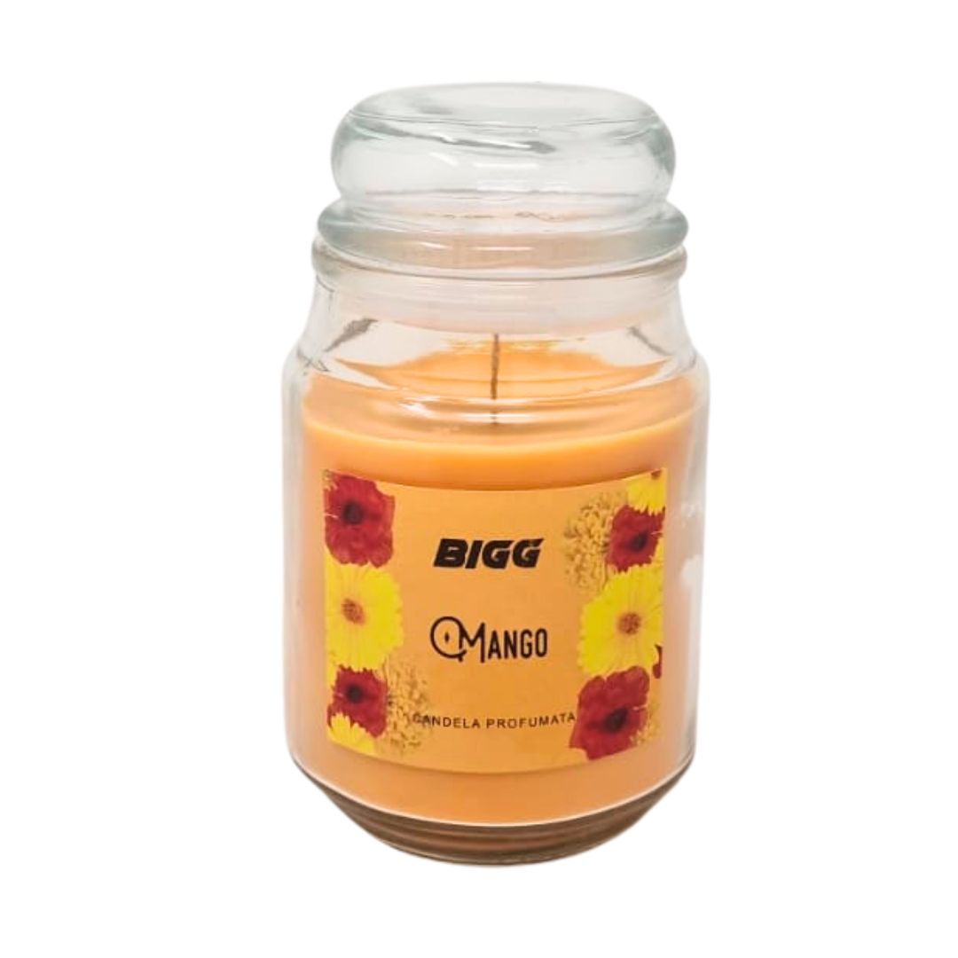 Candela profumata BIGG mango 500 gr