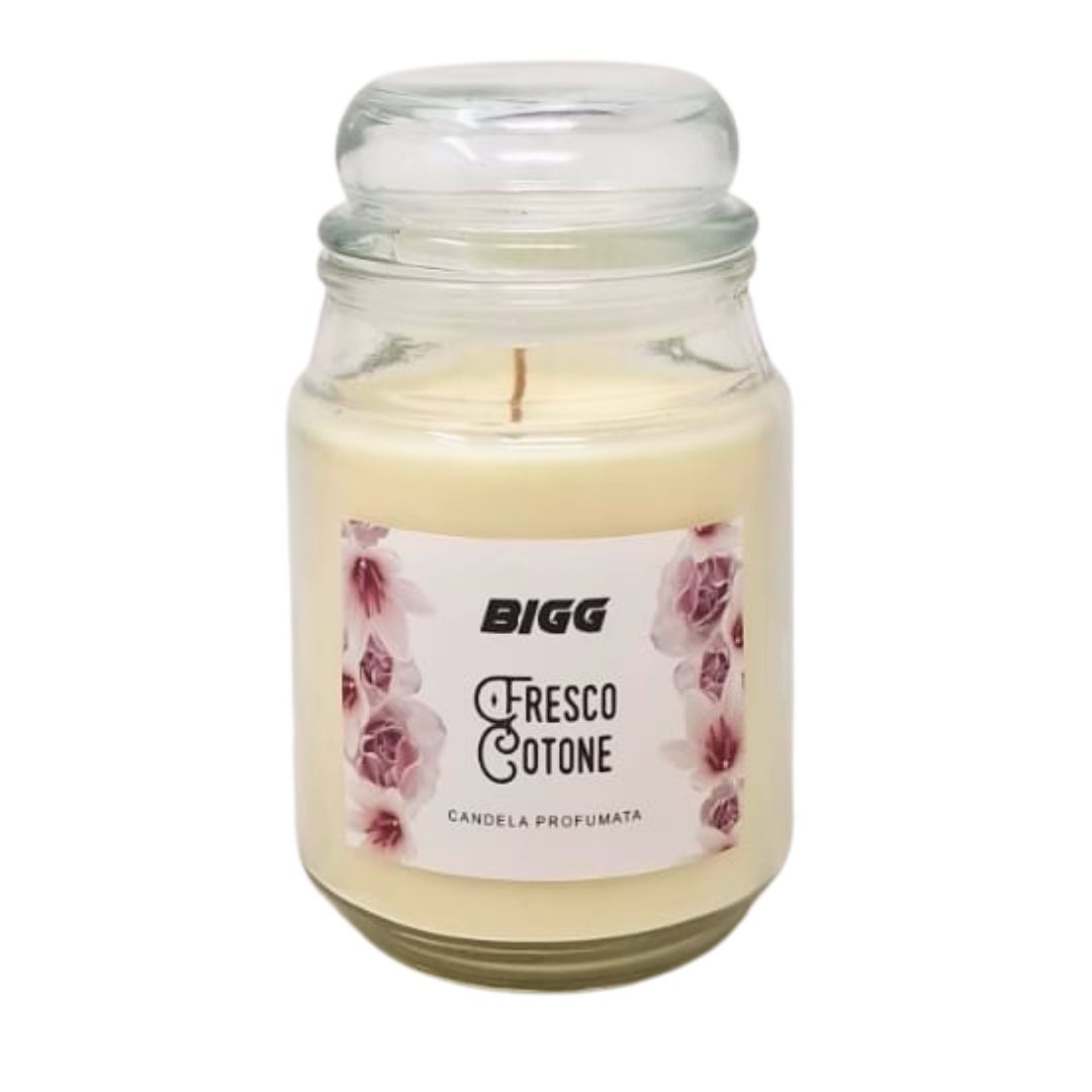 Candela profumata BIGG fresco cotone 500 gr