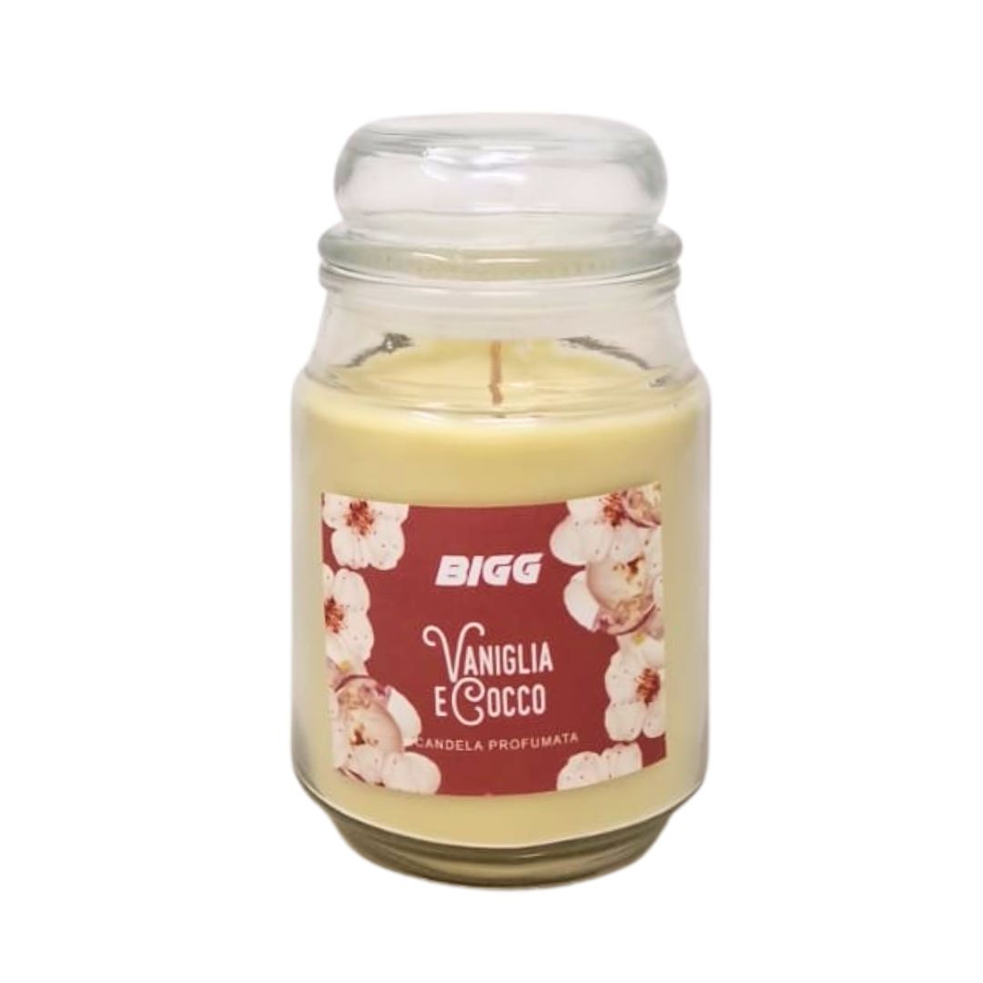 Candela profumata BIGG vaniglia e cocco 500 gr
