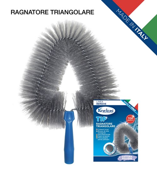 Ragnatore triangolare ragnatele BIB